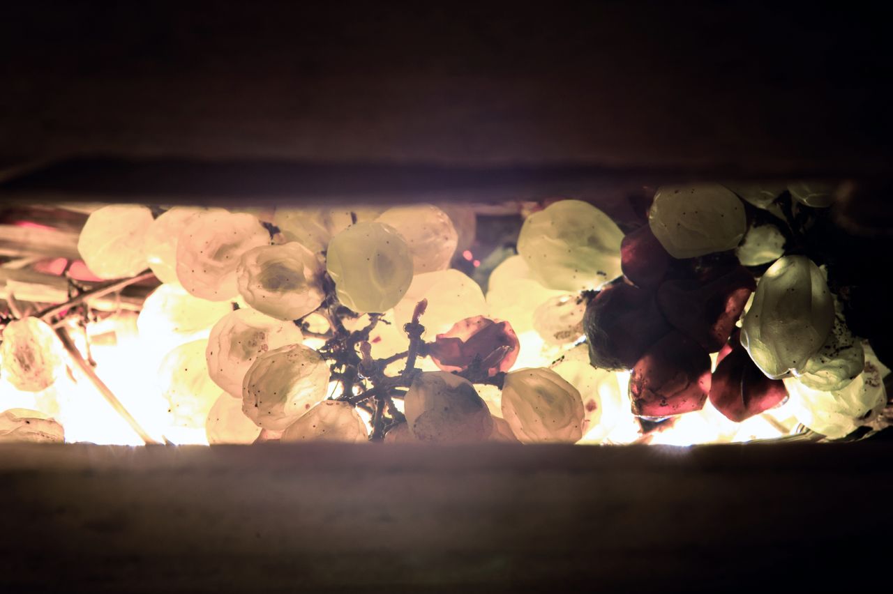 Vignoble Technique Vin de paille VDP-0053